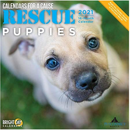 Bright Day Calendars 2021救助子犬の壁カレンダー、12 x 12インチ、キュート犬の原因のためのカレンダー