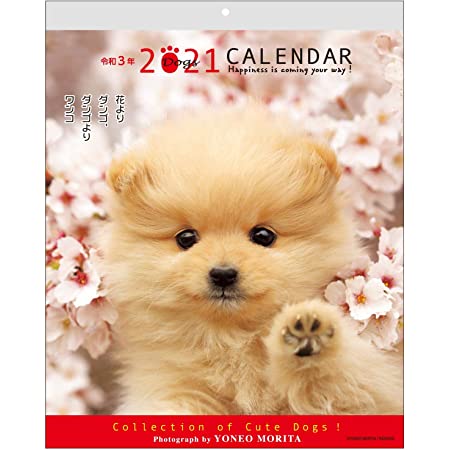 Bright Day Calendars 2021救助子犬の壁カレンダー、12 x 12インチ、キュート犬の原因のためのカレンダー