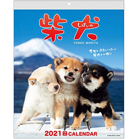 Bright Day Calendars 2021救助子犬の壁カレンダー、12 x 12インチ、キュート犬の原因のためのカレンダー