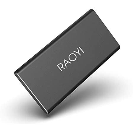 RAOYI 外付けSSD 120GB USB3.1 Gen2 ポータブル SSD 転送速度最大450MB/秒PS4動作確認済 超薄型・超高速Type-A/Type-C 耐衝撃 防滴 黒