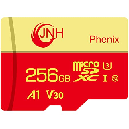 Netac microSD 256GB 最大100MB/s microSDXC UHS-I U3 A1 V30 C10 Full HD Nintendo Switch対応 メーカー正規品認証 – P500256