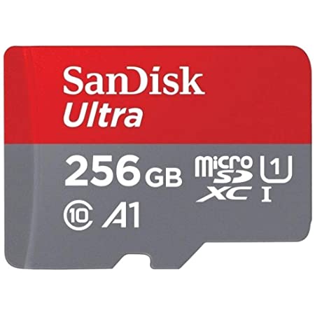 SanDisk microSDXC 100MB/s 256GB Ultra サンディスク SDSQUAR-256G-GN6MN 海外パッケージ品 [並行輸入品]
