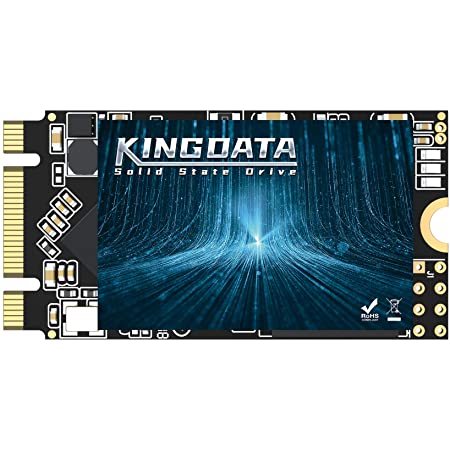 SSD M.2 2242 256GB KingShark APROシリーズ 内蔵型Ngff m2 SSD 42MM SATA III 6Gb/s Solid State Drive Sata3 SataⅢ 高性能 ハイパフォーマンス ノート/パソコン/適用 ソリッドステートドライブ m2 2242 128GB 3年保証 Hard Disk (256GB, M.2 2242)