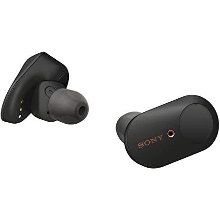 ソニー 完全ワイヤレスノイズキャンセリングイヤホン WF-SP800N : Bluetooth対応 左右分離型 防水仕様 2020年モデル 360 Reality Audio認定モデル ブラック WF-SP800N BM