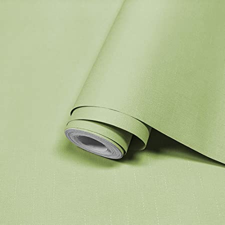 菊池襖紙工場 貼ってはがせる壁紙 クロマキー合成 グリーン CK-01