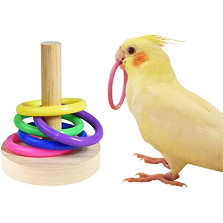 Kingsie 鳥 インコ おもちゃ 輪投げ リング 訓練 ストレス解消 オウム 噛む玩具 ペット 知育玩具 鳥用品 色識別能力 知能開発 ランダム色
