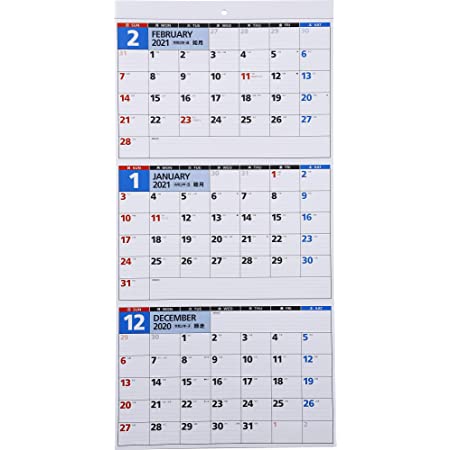 HANABUSA(はなぶさ) 2021 小型壁掛けカレンダー D（レトロ＆モダン） カラフル