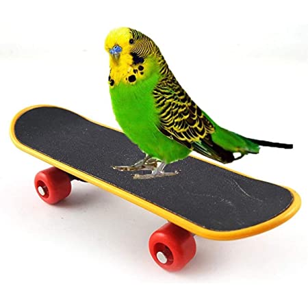 鳥玩具 スケートボード おもちゃ ペット用品 知育教育 訓練 ストレス解消 オウム 立て インコ ミニ