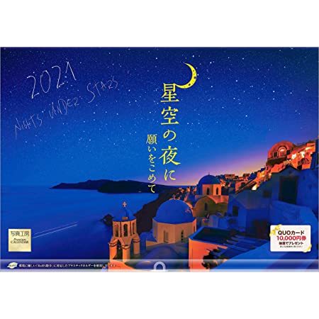 新日本カレンダー 2021年 カレンダー 壁掛け 月暦 NK169