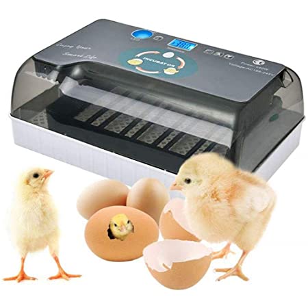 小型 孵卵器 24個の卵 孵卵器 自動孵卵器 孵化器 インキュベーター 鶏 アヒル ウズラ 家禽 鳥の卵の孵化 温度湿度表示パネル 安全 60W 110V