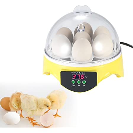 小型 孵卵器 24個の卵 孵卵器 自動孵卵器 孵化器 インキュベーター 鶏 アヒル ウズラ 家禽 鳥の卵の孵化 温度湿度表示パネル 安全 60W 110V