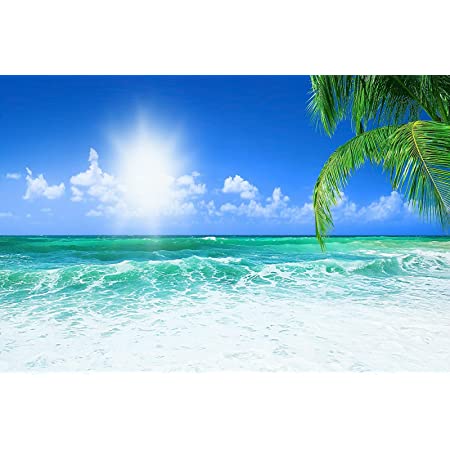 タペストリー 海 ビーチ 白雲 椰子の木 ハワイアン 砂浜の風景 おしゃれ 壁掛け インテリア 多機能壁掛け 模様替え 装飾用品 窓カーテン 新築祝い 結婚祝い プレゼント 152×130CM ビーチ7