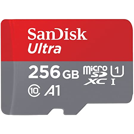 サンディスク microSD 256GB UHS-I Class10 Nintendo Switch メーカー動作確認済SanDisk Ultra SDSQUA4-256G-EPK エコパッケージ