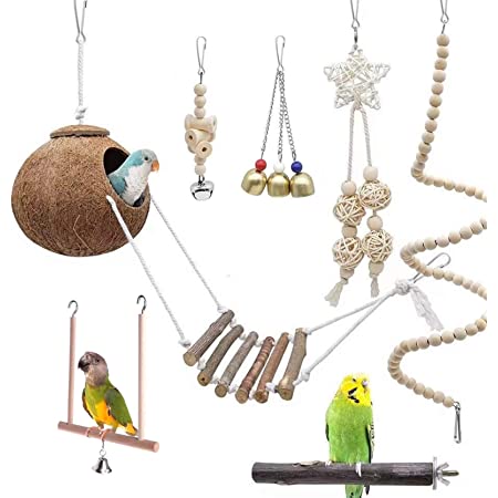 Kisata インコのおもちゃ 鳥の餌入れ 小鳥おやつボール フォージング 掛けタイプ小鳥噛むおもちゃ 鳥フードフィーダーセキセイインコやオカメインコ小動物に(透明)