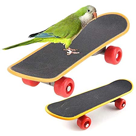 Sevenfly 1個のオウムスケートボードパーチスタンドおもちゃミニトレーニングスケートボード小鳥のための面白い知性のおもちゃ