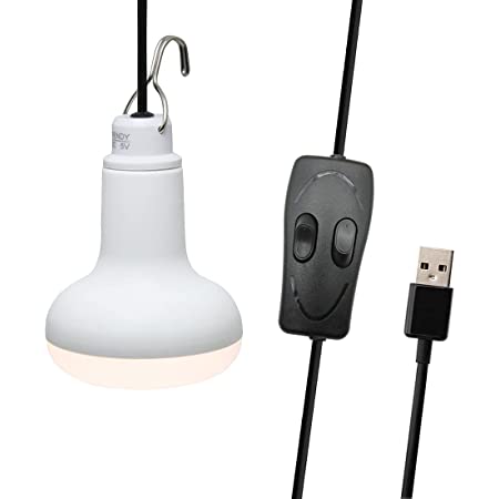 FlashFish USB電球 LED電球 USBライト LEDライト USB端子に接続 5W 高輝度 2個セット アウトドアキャンプランタン テントライト 夜釣り ランタン ベッド 寝室 ランプ 車中泊