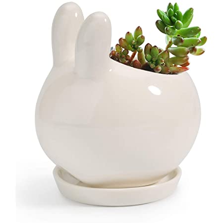 SukiQi 陶器鉢多肉植物 植木鉢 2個入り ミ二植木鉢 プランター容器 花鉢 誕生日祝い インテリア装飾品 部屋用 オフィス用 バンブートレイ付き 2色セット（植物は含まれていません）