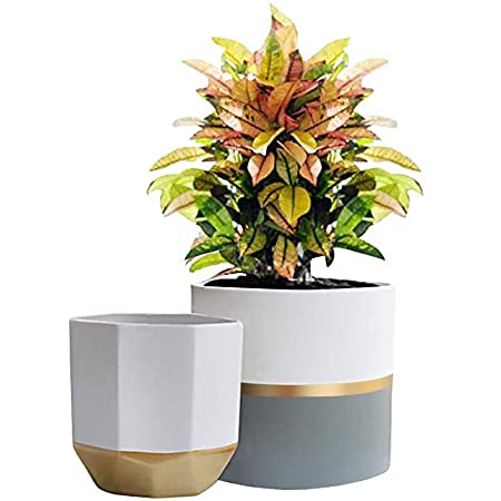 SukiQi 陶器鉢多肉植物 植木鉢 2個入り ミ二植木鉢 プランター容器 花鉢 誕生日祝い インテリア装飾品 部屋用 オフィス用 バンブートレイ付き 2色セット（植物は含まれていません）