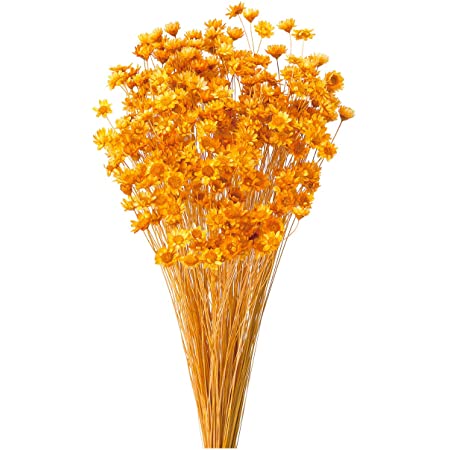 ブリザードフラワー ハーバリウム ドライフラワー 花材 ハンドメイドに (水色、赤、黄色)