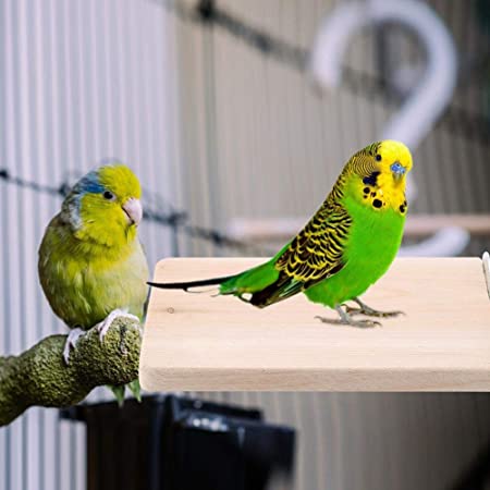 インコ 止まり木 ハムスター チンチラ ステージ 長方形 ナチュラル 木製 スタンド 小動物 足場 噛むおもちゃ ペット用品