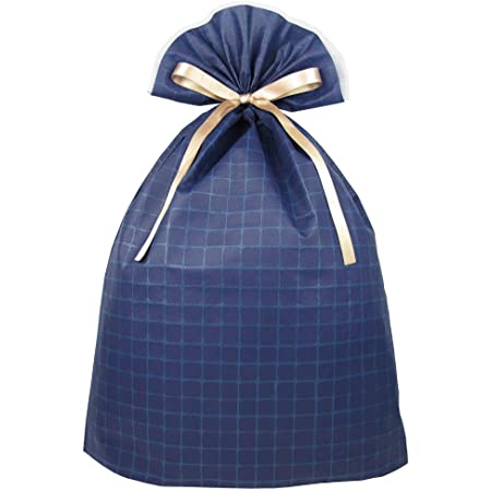 【 10枚セット 】iikuru ラッピング 袋 リボン おしゃれ プレゼント かわいい ギフト 包装 バッグ 包装紙 誕生日 クリスマス バレンタイン y863