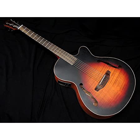 SCHECTER OL-FL WHT Oriental Line シェクター 薄胴 アコースティックギター Fホール エレアコ