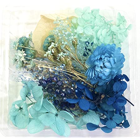 花材セット 手芸クラフト ハーバリウム 花材 ドライフラワー プリザーブドフラワー アロマワックスサシェ サムシングブルー