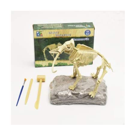 YSS 恐竜の化石 発掘セット 恐竜の卵 削って遊ぶ 化石発掘 おもちゃ (12種セット)