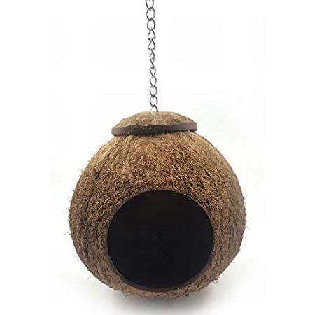 ココナッツの殻鳥の巣、オウムネスティング鳥ハウスハンギングチェーンケージ咀嚼のおもちゃ