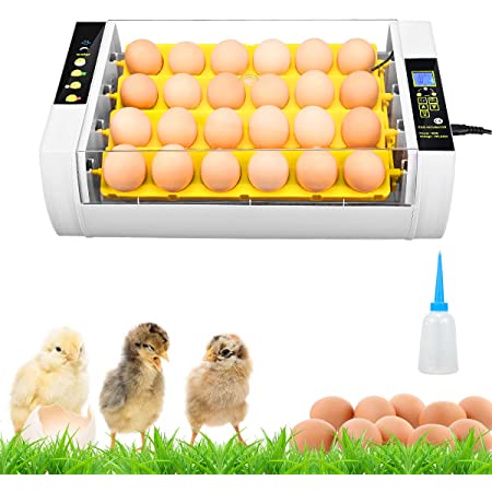 LYRONG 自動孵卵器 インキュベーター 鳥類専用孵卵器 36個入卵 ヒヨコ生まれ 透明 卵の孵化機 自動温度制御 湿度保持 鶏卵 アヒル うずら 家庭用,36 Eggs