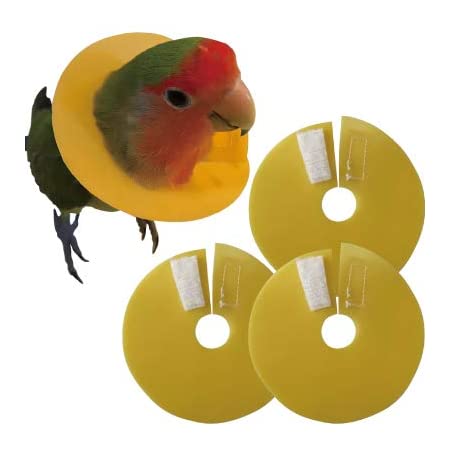 鳥用 エリザベスカラー 鳥類 セキセイ インコ オウム エリカラ バード ネックカラー ネックガード マント (M, 赤)