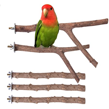 LEDMOMO 10個鳥ケージパーチ木製オウムスタンドスティックパーチスタンドスイングのおもちゃケージ用小鳥スイングオカインコgerbilラット