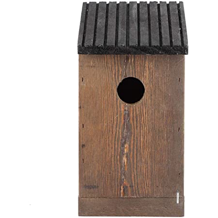 【神話広場】 おウチ 家 型 野鳥 巣箱 バードハウス バードウォッチング 野鳥観察 自由研究 青 ブルー 屋根