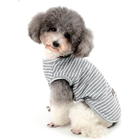 犬 服 さくらんぼ ボーダー シャツ PetGround かわいい 犬服 小型犬 春夏 秋冬 ペット服 中型犬 (M, 黒)