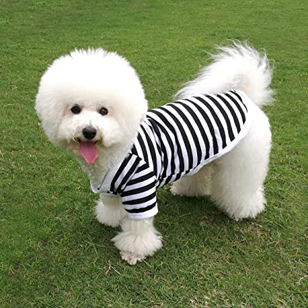 犬 服 さくらんぼ ボーダー シャツ PetGround かわいい 犬服 小型犬 春夏 秋冬 ペット服 中型犬 (M, 黒)