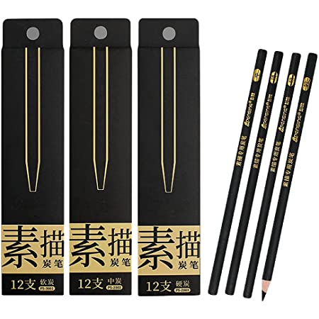 Liang jiang専門炭鉛筆絵画セット、12本の黒鉛鉛筆、柔らかい中号と硬い炭鉛筆、絵画、デッサン、陰影に使用され、初心者と芸術家に適しています (軟質炭素)