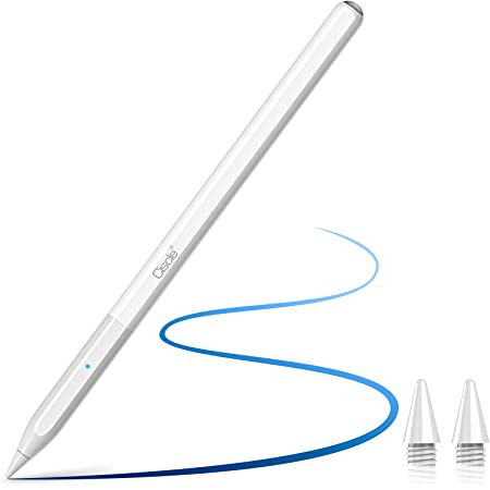 【2021 タッチペン ipad ペンシル WINWILL極細 超高感度 電量表示 誤on/off防止 スタイラスペン 傾き感知/磁気吸着/誤作動防止機能対応 2018年以降iPad専用ペン