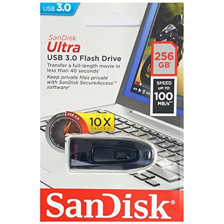 USBメモリ 256GB USB 2.0 フラッシュドライブ 小型 軽量 超高速データ転送 大容量 読取り最大30MB/s キャップ式 USBメモリースティック データ転送 Windows PCに対応