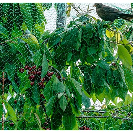 RICISUNG 防鳥 ネット 2m×8ｍ 鳥よけネット園芸つるネット 鳥除け 農業用品 家庭菜園ネット 鳥害対策 防鳥防獣網 （10本の釘+30本のケーブルタイ付き）