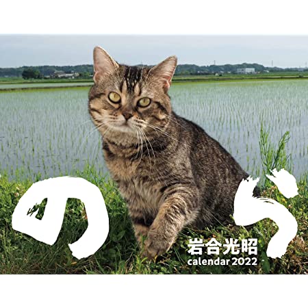 新日本カレンダー 2022年 カレンダー 壁掛け 招福ねこ暦 NK83 46/4切(53.5×38cm)
