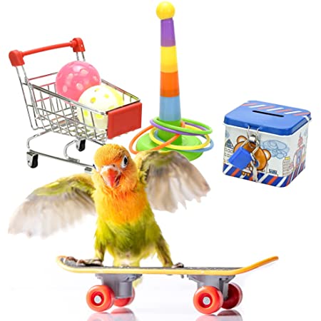 AINetJP Premium 鳥のおもちゃ バードトイ 遊び場 スケボー トレーニング ストレス解消 インコ ヨウム オウム