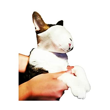 Liroyal 猫用マスク ペット口輪 耳掃除 爪切り補助用 目隠し 爪切り 噛みつき防止 拾い食い防止 猫のマズル キャットマズル 猫用 お風呂 暴れる猫ちゃん用 ホワイト