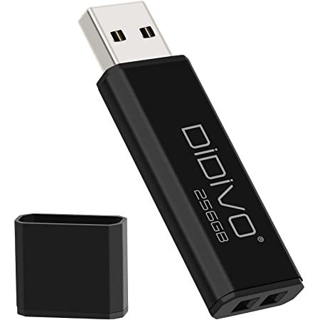 256GB Gold 3.0 USB PCフラッシュドライブ、USB Type-Cポートと互換性があります携帯電話シリーズフラッシュドライブ、高速外部サムドライブUSBメモリストレージフォトスティックで写真とビデオを保存できます (256GB)