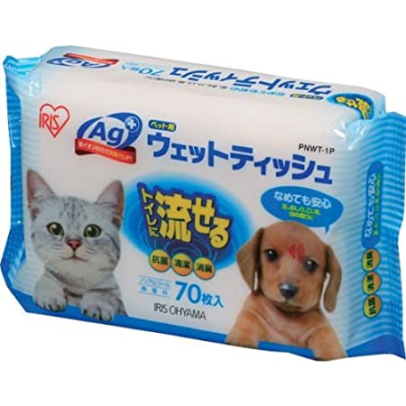 猫 ウェットティッシュ厚手 除菌 ノンアルコール 消臭剤配合 日本製 240シート×2おやつ オマケ チャオ CIAOなど アイリスオーヤマ【ネコちゃんお楽しみセット】