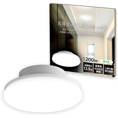 スワン電器 LEDシーリングライト【～6畳用】工事不要の簡単取付 便利なリモコン付き 昼光色 CE-2030