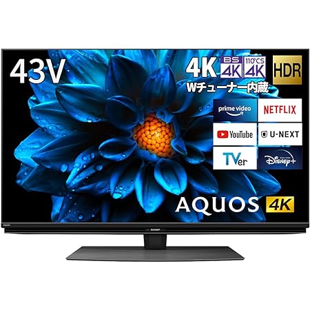 シャープ 42V型 液晶 テレビ AQUOS 4T-C42DJ1 4K チューナー内蔵 Android TV (2021年モデル) ブラック