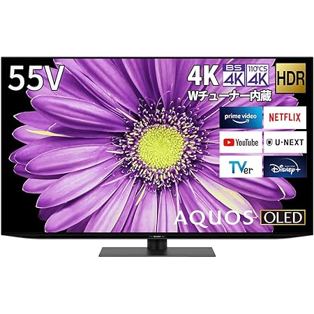 シャープ 55V型 4K 液晶 テレビ AQUOS 4T-C55DN1 N-Blackパネル 倍速液晶 Android TV (2021年モデル)