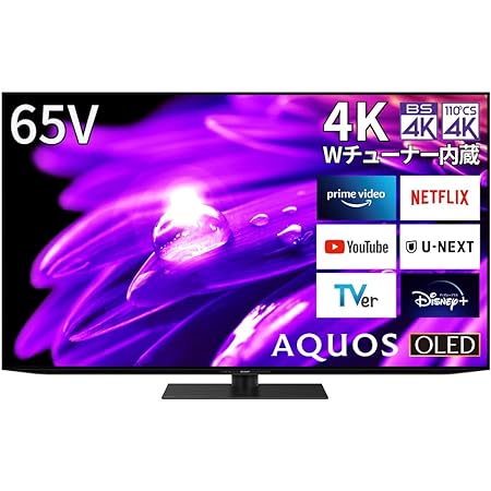 シャープ 65V型 液晶 テレビ AQUOS 4T-C65DL1 4K チューナー内蔵 Android TV (2021年モデル) ブラック