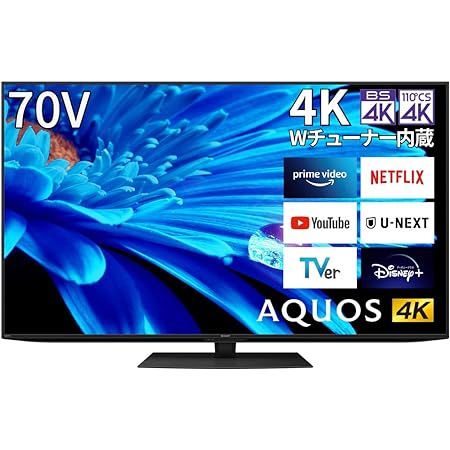 シャープ 65V型 4K 液晶 テレビ AQUOS 4T-C65EN1 N-Blackパネル 倍速液晶 Google TV (2022年モデル)