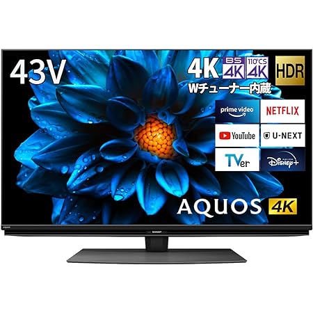 シャープ 43V型 4K 液晶 テレビ AQUOS 4T-C43EL1 Google TV Dolby Atmos (2022年モデル) 回転式スタンド